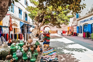 From Marrakesh: Essaouira Full-Day Trip