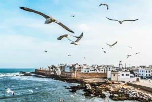 From Marrakesh: Essaouira Full-Day Trip
