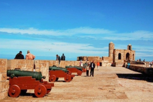 From Marrakesh: Essaouira Full-Day Trip