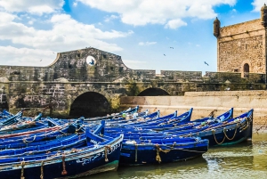 From Marrakesh: Essaouira Full-Day Trip