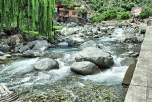 From Marrakesh: Ourika Valley & Atlas Mountains Day Tour