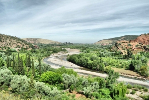 From Marrakesh: Ourika Valley & Atlas Mountains Day Tour