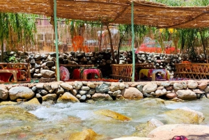 From Marrakesh: Ourika Valley & Atlas Mountains Day Tour