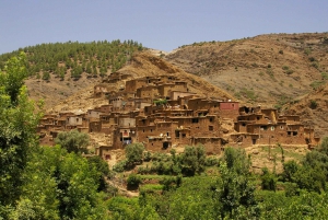From Marrakesh: Ourika Valley & Atlas Mountains Day Tour