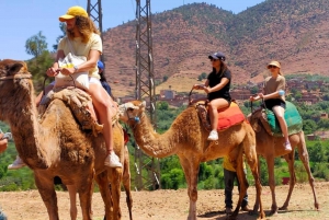 From Marrakesh: Ourika Valley & Atlas Mountains Day Tour