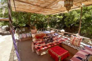 From Marrakesh: Ourika Valley & Atlas Mountains Day Tour