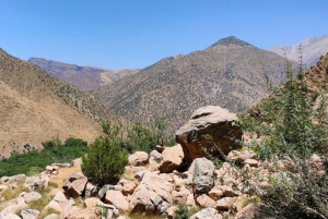 From Marrakesh: Ourika Valley & Atlas Mountains Day Tour