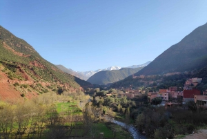 From Marrakesh: Ourika Valley & Atlas Mountains Day Tour