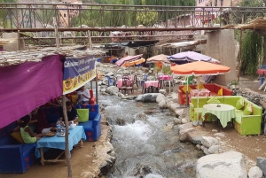 From Marrakesh: Ourika Valley & Atlas Mountains Day Tour