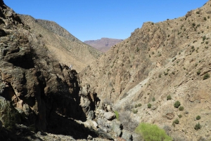 From Marrakesh: Ourika Valley & Atlas Mountains Day Tour