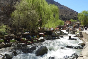 From Marrakesh: Ourika Valley & Atlas Mountains Day Tour