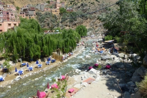 From Marrakesh: Ourika Valley & Atlas Mountains Day Tour