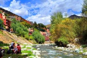 From Marrakesh: Ourika Valley & Atlas Mountains Day Tour