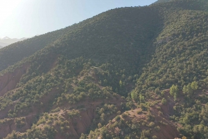 From Marrakesh: Ourika Valley & Atlas Mountains Day Tour