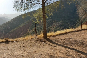 From Marrakesh: Ourika Valley & Atlas Mountains Day Tour