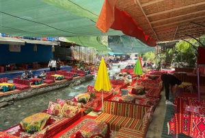 Из Марракеша: частная однодневная поездка в горы Атлас (5 долин)