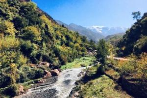 From Marrakesh: Zip-Line & Hike in the Atlas Mountains