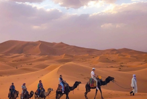メルズーガ発：テントキャンプでの1001夜アラビアン・オーバーナイト