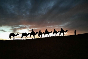 メルズーガ発：テントキャンプでの1001夜アラビアン・オーバーナイト