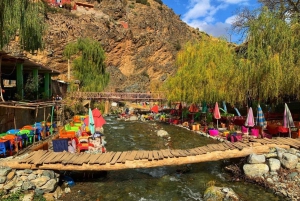 Marrakech: río Ourika, ruta de senderismo a las cascadas, guía y almuerzo