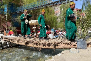 Marrakech: río Ourika, ruta de senderismo a las cascadas, guía y almuerzo
