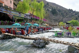 Marrakech: río Ourika, ruta de senderismo a las cascadas, guía y almuerzo