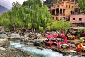 Marrakech: río Ourika, ruta de senderismo a las cascadas, guía y almuerzo