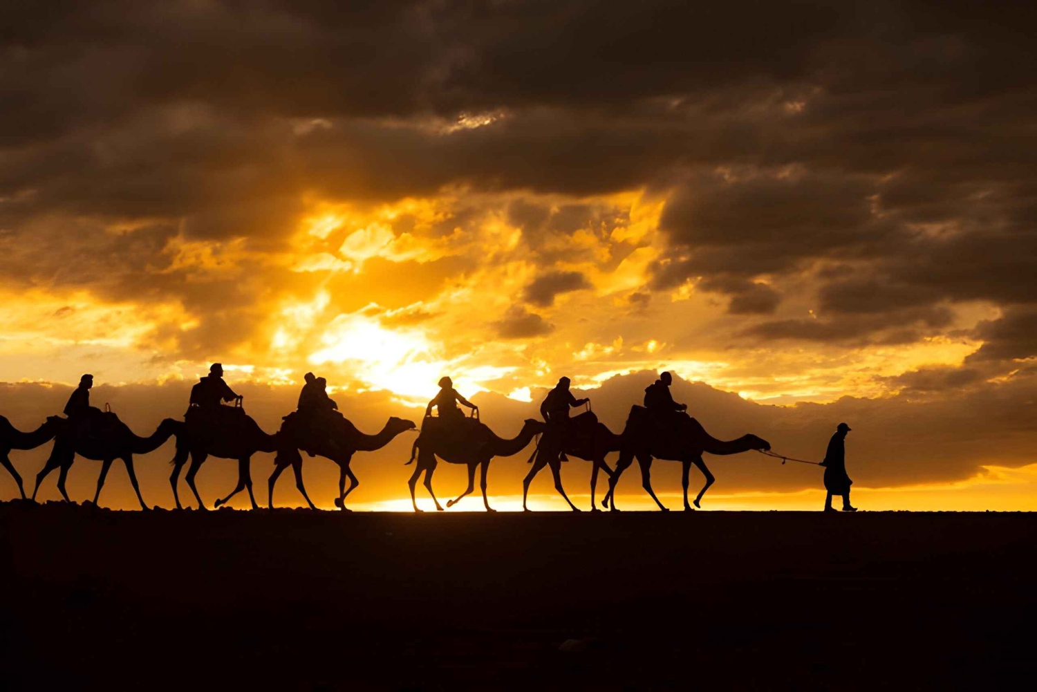 Magisch Agafay: kamelenrit & dinnershow