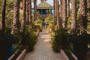 Marrakesh: Majorelle Garden Pääsyliput