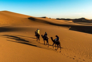 Marrakech: 2-Day Zagora Desert & Kasbah Ait Benhaddou Tour