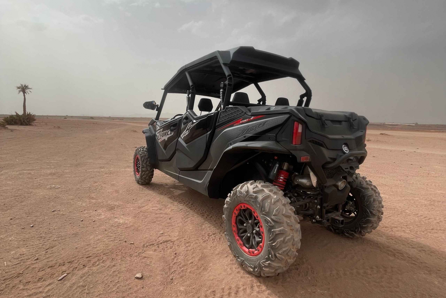 Marrakesch: Agafay: Private Buggy- & Kamel-Tour & Sternen-Dinner