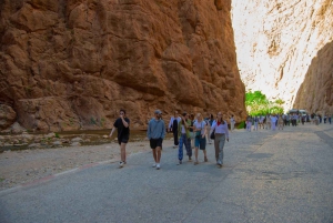 マラケシュ発：ラクダ乗り、サンドボード、メルズーガ3日間、砂漠ツアーをお楽しみください