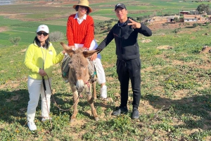 Marrakech: 3 días por ciudades imperiales y el Atlas