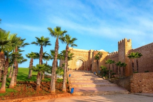 Marrakech: 3 días por ciudades imperiales y el Atlas