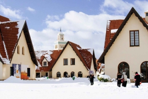 Marrakech: 3 días por ciudades imperiales y el Atlas