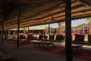 Marrakech: Kamelenrit in Agafay, dinershow en toegang tot het zwembad