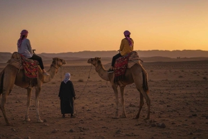 Marrakesh: kamelenrit, diner en vuurshow in de Agafay-woestijn