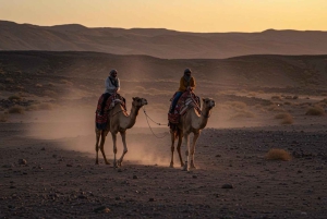 Marrakesh: kamelenrit, diner en vuurshow in de Agafay-woestijn