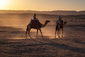 Marrakesh: kamelenrit, diner en vuurshow in de Agafay-woestijn