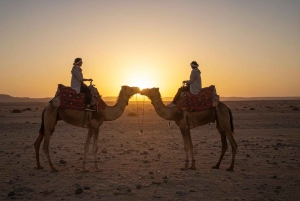 Marrakesh: kamelenrit, diner en vuurshow in de Agafay-woestijn