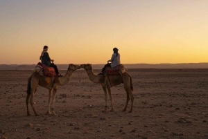 Marrakesh: kamelenrit, diner en vuurshow in de Agafay-woestijn