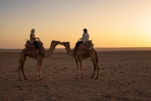 Marrakesh: kamelenrit, diner en vuurshow in de Agafay-woestijn