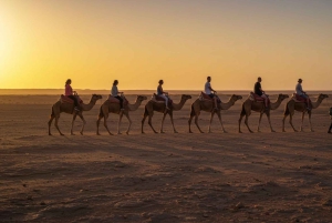 Marrakesh: kamelenrit, diner en vuurshow in de Agafay-woestijn