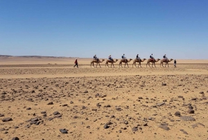 Marrakesh: kamelenrit, diner en vuurshow in de Agafay-woestijn
