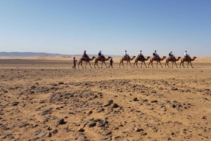 Marrakesh: kamelenrit, diner en vuurshow in de Agafay-woestijn