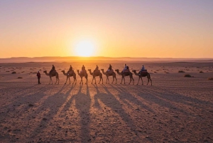 Marrakesh: kamelenrit, diner en vuurshow in de Agafay-woestijn