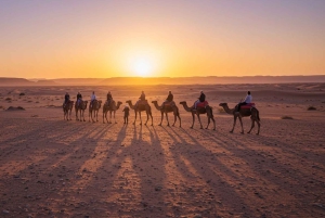 Marrakesh: kamelenrit, diner en vuurshow in de Agafay-woestijn