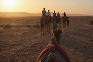 Marrakesh: kamelenrit, diner en vuurshow in de Agafay-woestijn