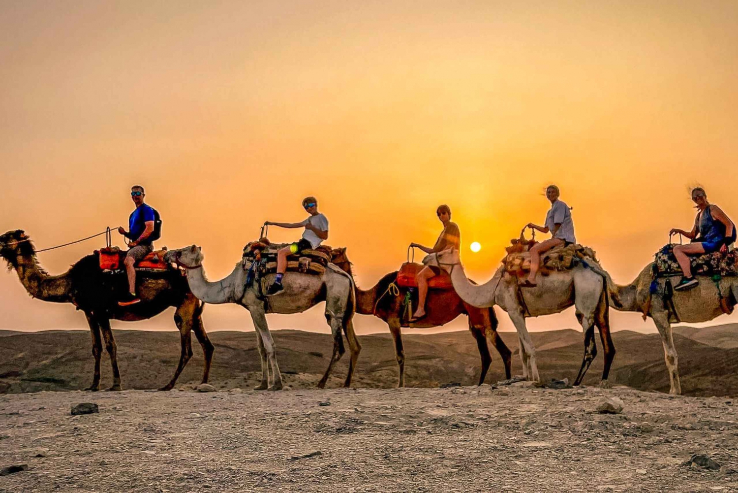 Marrakech: paseo en camello por el desierto de Agafay con cena y espectáculo