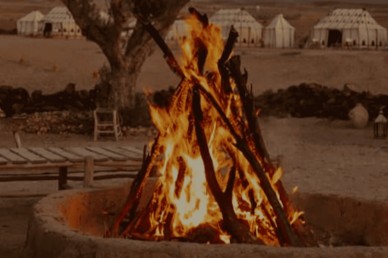 マラケシュ発：ラクダ＆バギー体験付きアガファイ砂漠ツアー（夕食ショー付き）